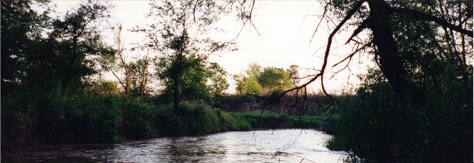 Indian Creek is reaching the open area of the gravel mine