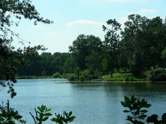 Lake seen from the North-East